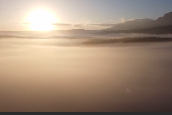 霧を抜けたら雲海が広がっていた。