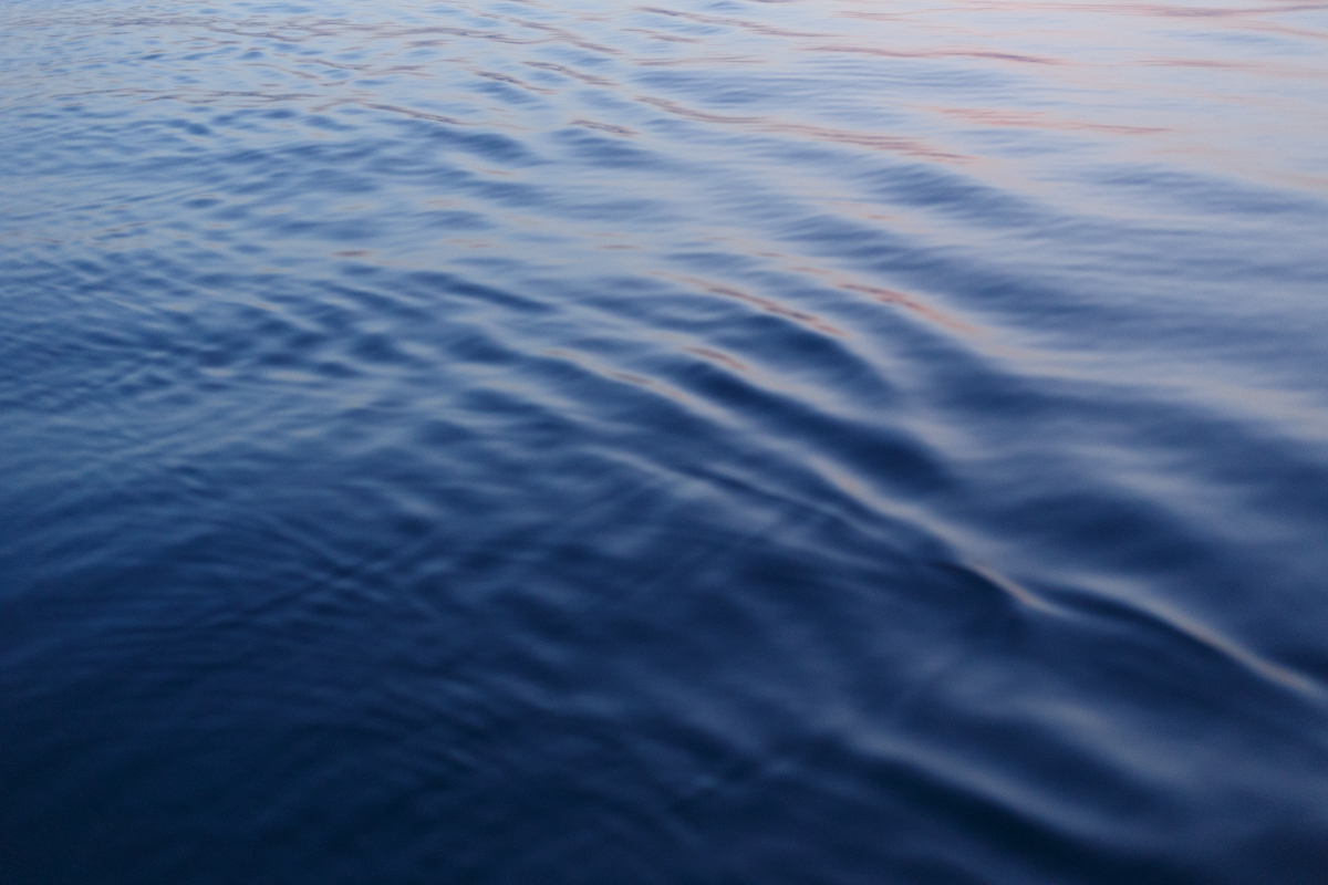 映像制作の写真